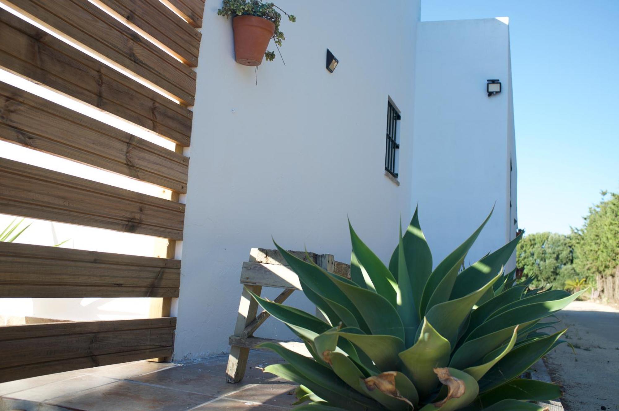 Ilusiones Del Mar Pensionat El Palmar  Værelse billede